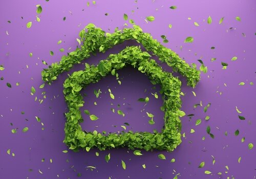 Going green resize.jpg