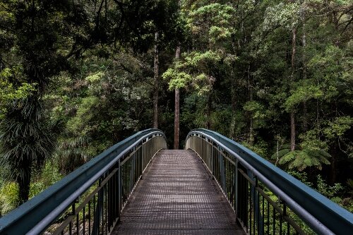 bridge resize.jpg
